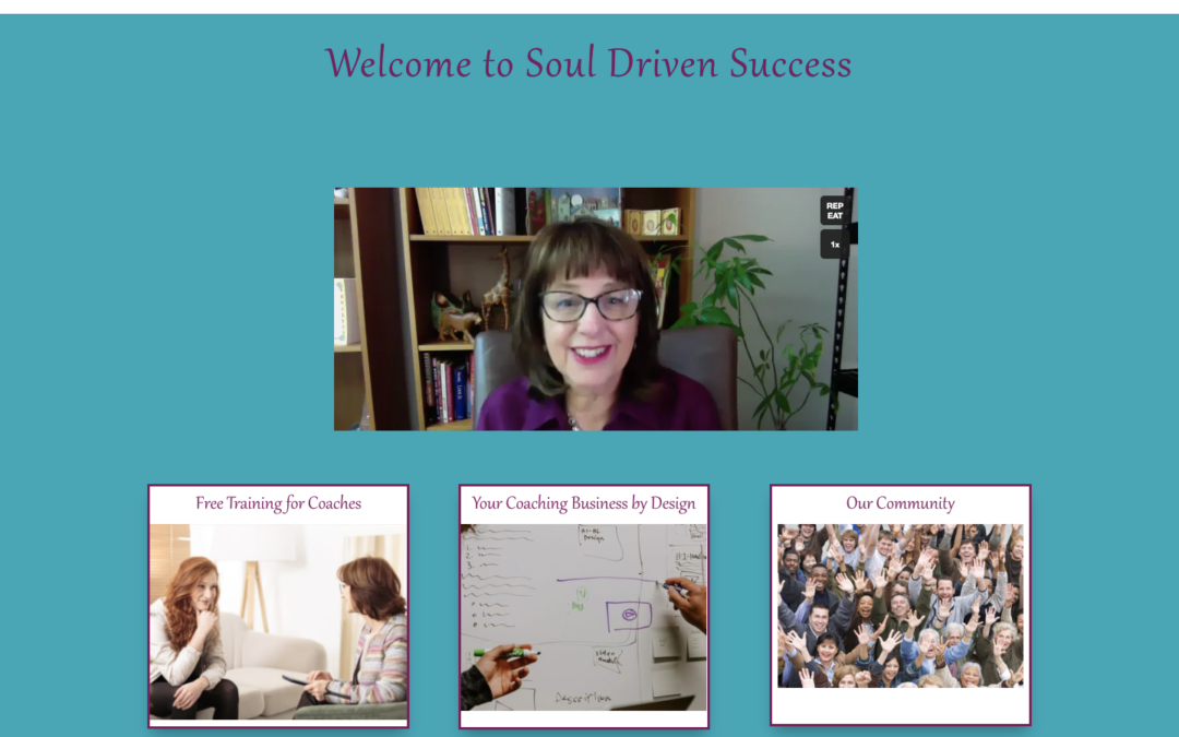 Soul Driven Success